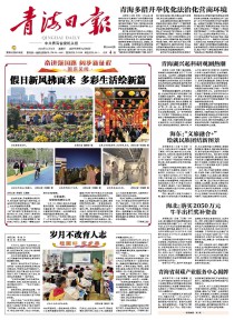 青海日报